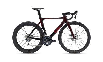 EnviLiv Advanced Pro Disc 1 2022